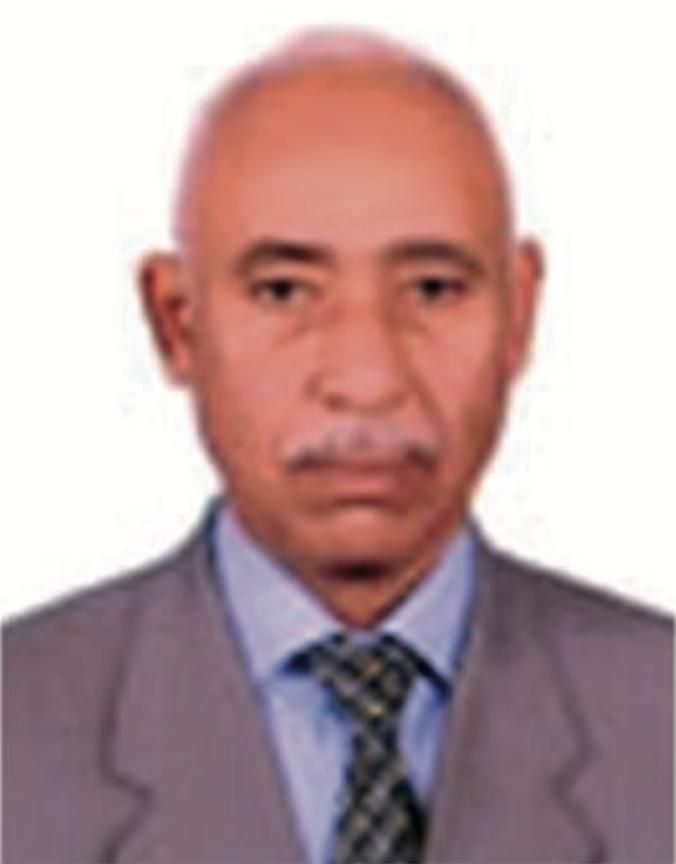 Yehia Mohamed Hussein El-Sobky